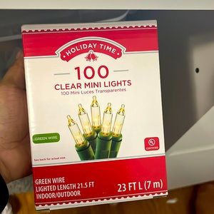 100 Clear Mini Christmas Lights